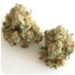 Шишки "White Widow" (Белая вдова) Гидропоника - Бошка VHQ в Топках Шишки "White Widow" (Белая вдова) Гидропоника - Бошка VHQ в Топках